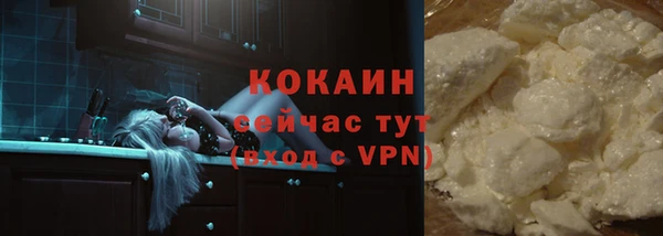 гашик Богданович