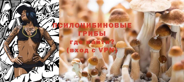 2c-b Богородск