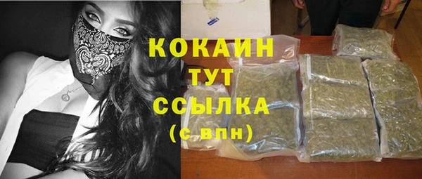 гашик Богданович