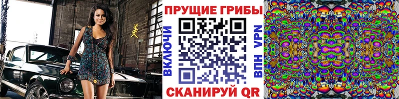 что такое   Великие Луки  Псилоцибиновые грибы мицелий 