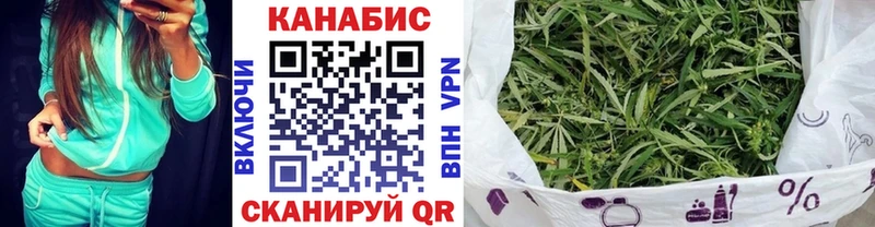 кракен ТОР  купить наркотик  Великие Луки  Бошки марихуана SATIVA & INDICA 